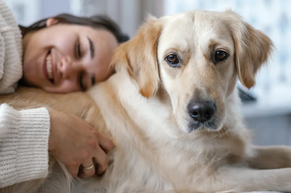 Die 10 wichtigsten Fragen zur Tierhalterhaftpflicht